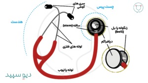 آناتومی گوشی پزشکی لیتمن